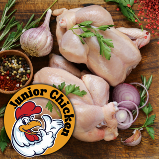 Junior Chicken -TIEFGEFROREN-